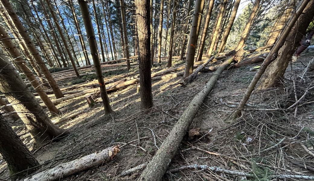 Der Verletzte musste ins Spital geflogen werden. 