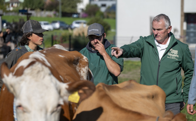 Ein «A» und eine Schelle für die Siegerin – Mit den Experten auf der Viehschau