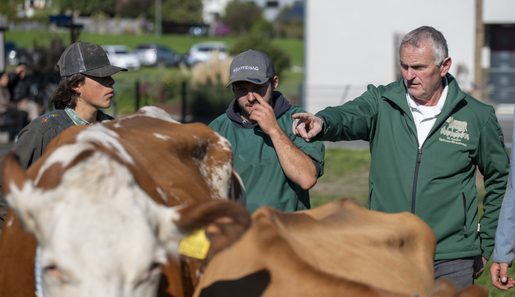 Andreas Wittenwiler hatte  in Wartau nicht nur Braunvieh zu bewerten.