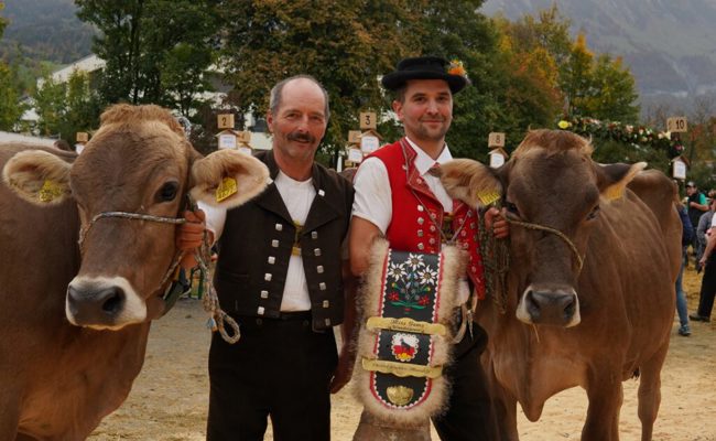 Sonja setzt sich gegen die Konkurrenz durch und wird die schönste Gamser Kuh