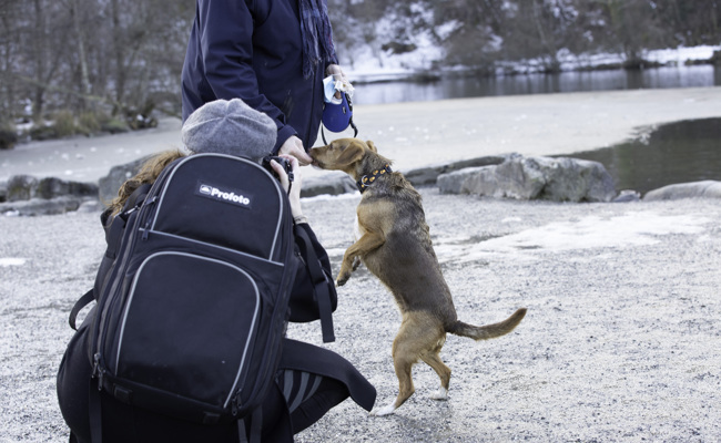 Einblicke in Leben und Denkweise: Schloss-Festspiele stellen «Opernmenschen» vor