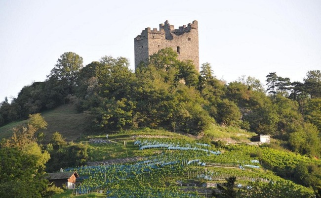 Fehler im Stimmbüro: Wie aus einem grünen Daumen ein roter Daumen wurde