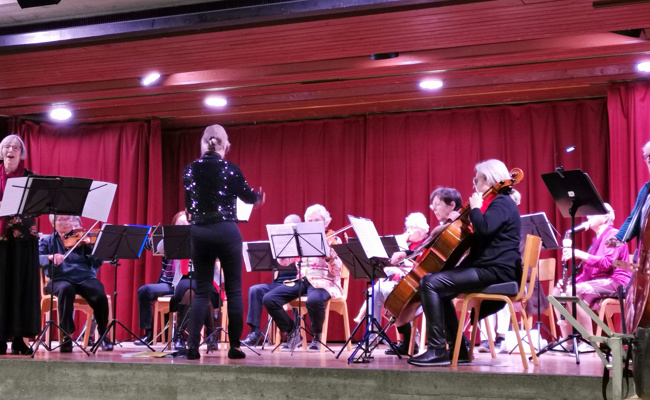Seniorenorchester Pro Musica: Hörgenuss und gemütliches Beisammensein