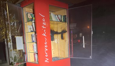 Unbekannte zünden Bücherschrank an