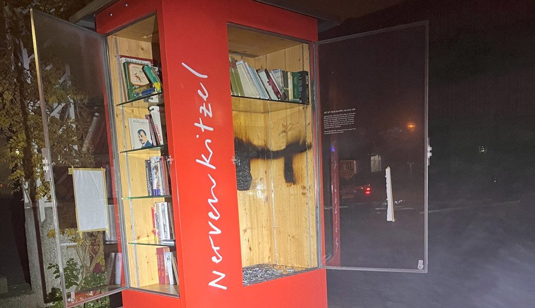 Die Bücher gingen in Flammen auf.