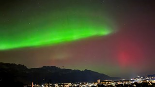 Standort: Plattnachwingert, Buchs. Bild: Daniel Senn