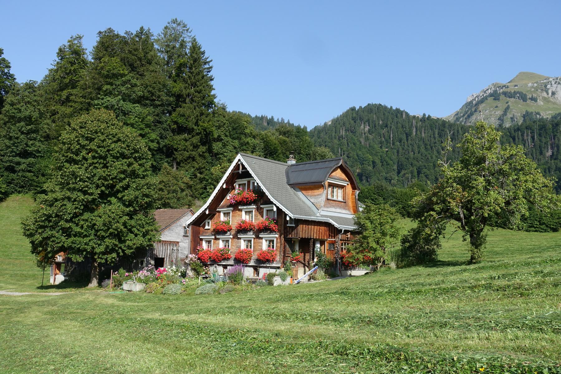 Blumentradition wird von Generation zu Generation weitergegeben