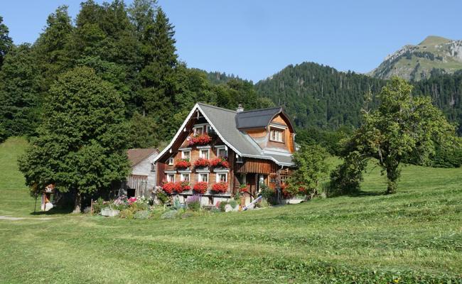 Blumentradition wird von Generation zu Generation weitergegeben