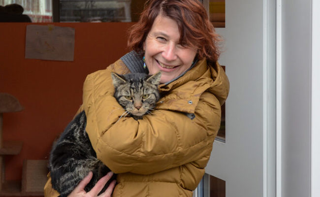 Mehrere Stunden in der Kälte ausgeharrt: Katze Nera von Vordach gerettet