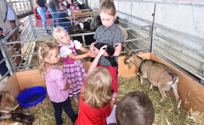 Genussvoller 1.-August-Brunch auf dem Bauernhof