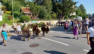 Rüthi feiert Alpabfahrt – eine Woche früher als geplant