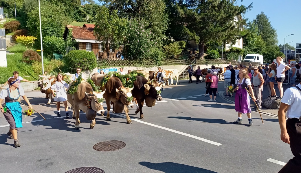 Die ersten festlich geschmückten Tiere werden ab 9.30 Uhr im Tal erwartet.