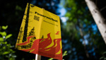 Dem ausgiebigen Regen sei Dank: Feuerverbot wird gelockert