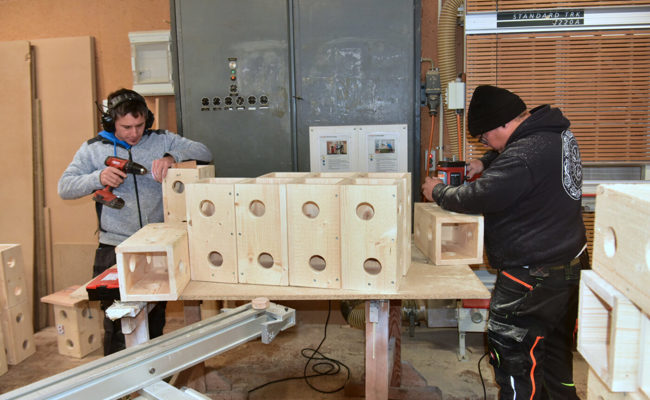 Winteraktion für die Vögel: Ornithologischer Verein fabriziert Fettkästen aus Holz
