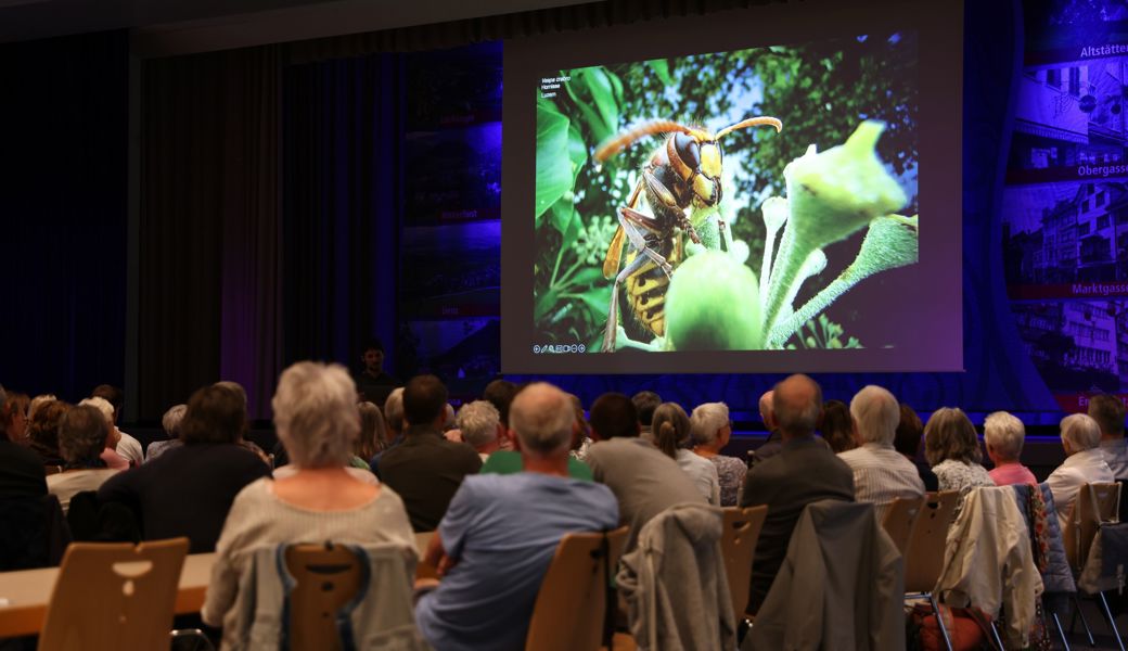 Die Vorträge in Buchs und Altstätten waren bestens besucht.