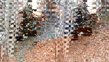 Bei starkem Nebel von Strasse abgekommen: Hund stirbt bei Autounfall in Furna