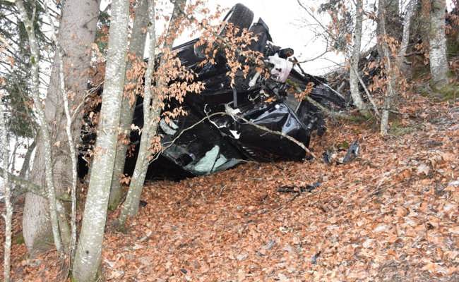 Bei starkem Nebel von Strasse abgekommen: Hund stirbt bei Autounfall in Furna
