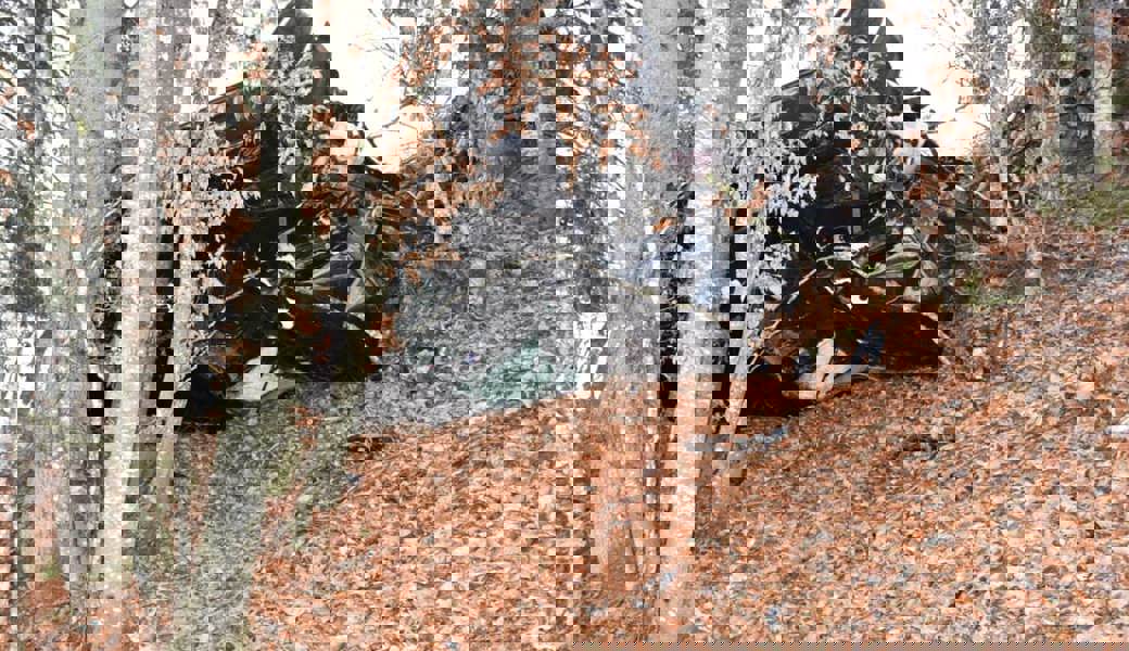  Das Auto geriet über den Strassenrand und überschlug sich. 