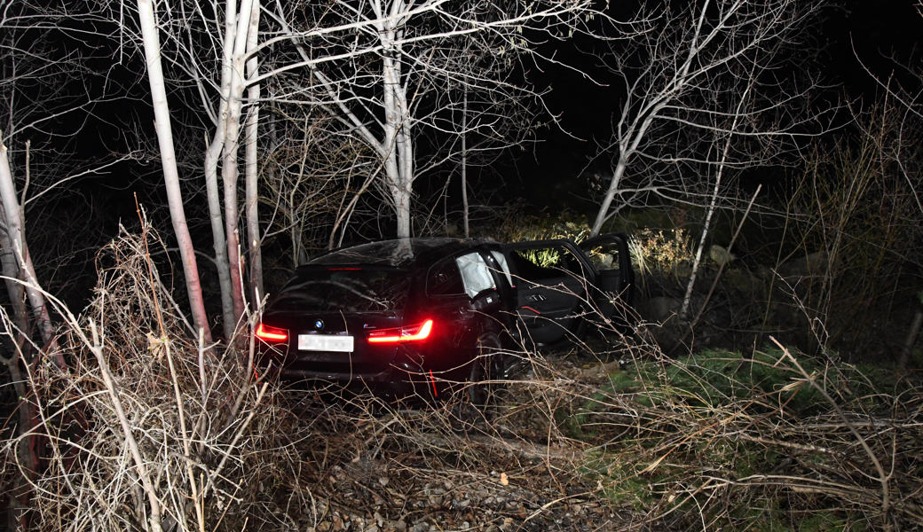 Auf Abwegen: Ein Autolenker landete im Wäldchen eines Rheinbords.