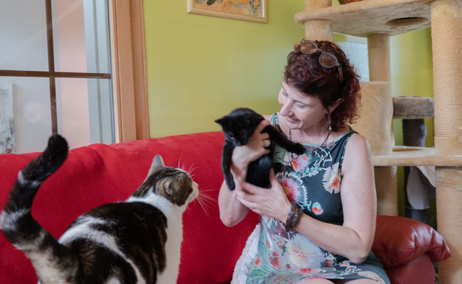 Cat-Box: In 20 Jahren über 2600 Katzen aufgenommen - und noch 1800 Ferienkatzen dazu