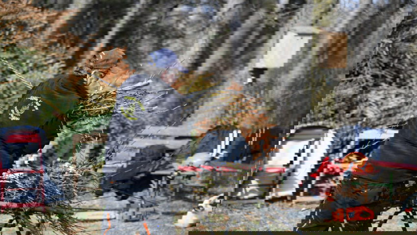  Äste werden zu Burden zusammengebunden. 