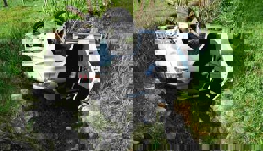 Auf dem Dach gelandet: Nach einem Unfall in startet die Polizei einen Zeugenaufruf