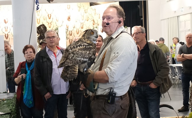 Wo ist Nele? Uhu am Wattwiler Mittelaltermarkt entflogen