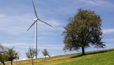 Werdenberger SVP-Politiker wirbeln gegen Windenergie