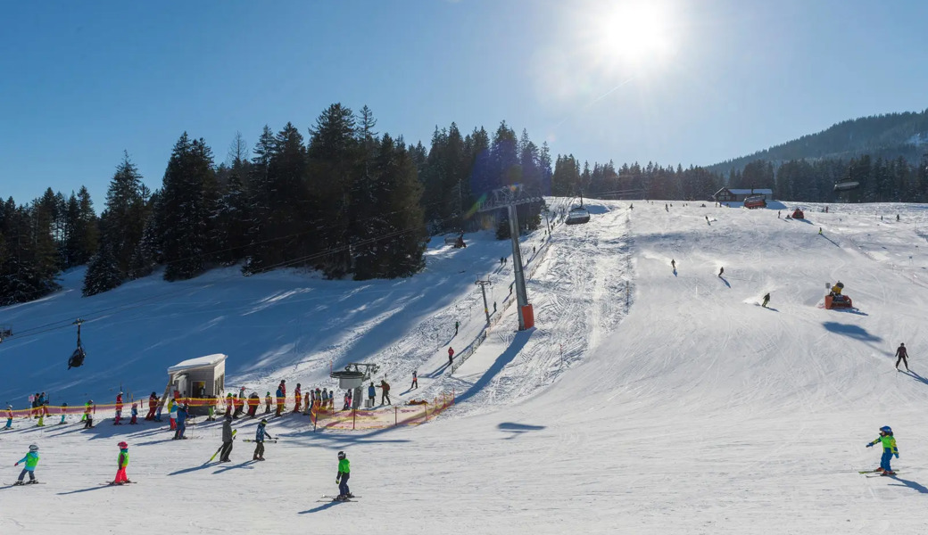 Blick auf das Skigebiet Wildhaus vom Berggasthaus Oberdorf aus.