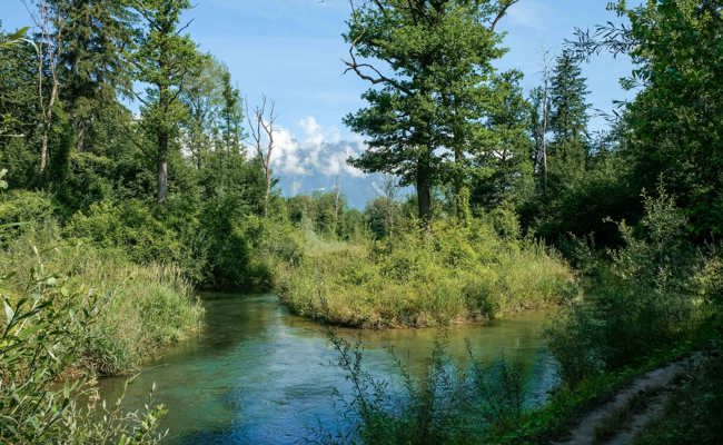 Ausflugstipp: Eine kleine Velotour zu fünf Naturbijous