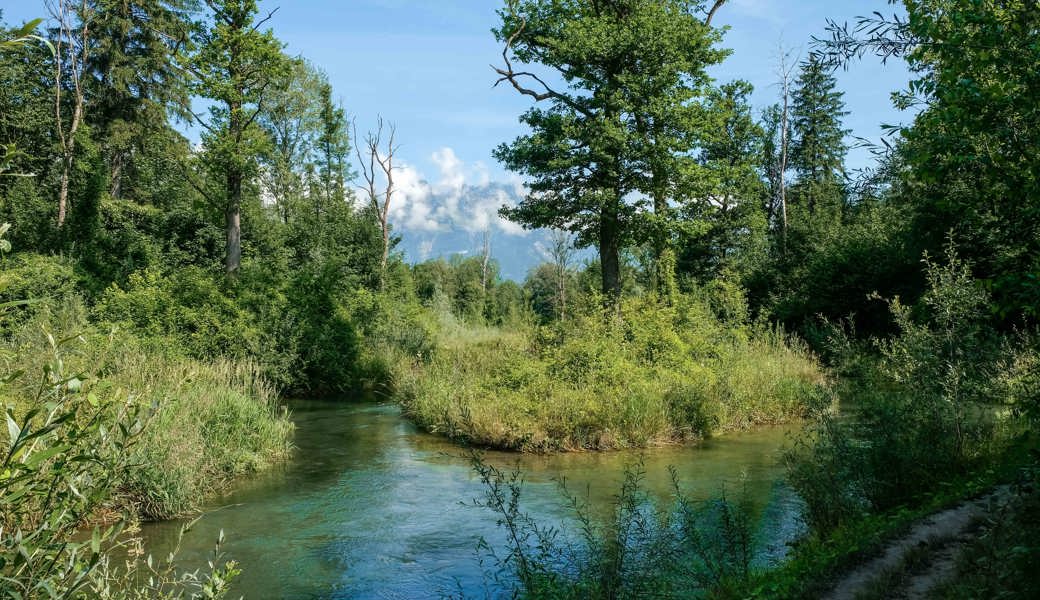 Ausflugstipp: Eine kleine Velotour zu fünf Naturbijous