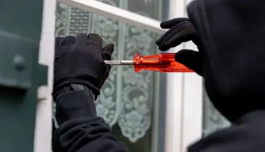 Verkehrsrowdies, ein tierischer Schwarzfahrer und Hilferufe