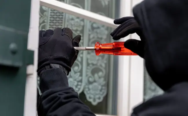 Verkehrsrowdies, ein tierischer Schwarzfahrer und Hilferufe