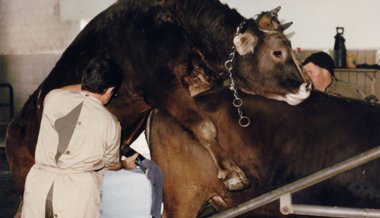 Überlebenskampf der Bauern: Film «Bauernkrieg» kommt zurück in die Kinos