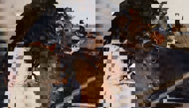 Überlebenskampf der Bauern: Film «Bauernkrieg» kommt zurück in die Kinos