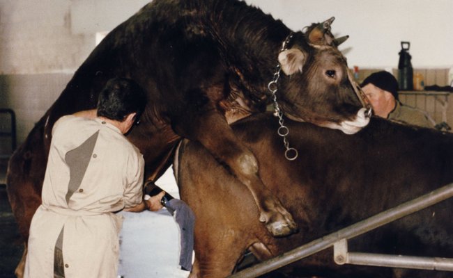 Überlebenskampf der Bauern: Film «Bauernkrieg» kommt zurück in die Kinos