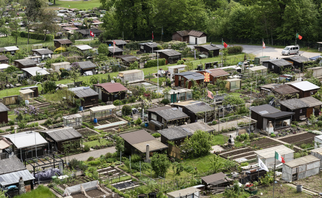 Unbekannte stehlen Gegenstände aus Schrebergartenhäuschen