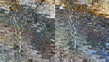 Fische werden zu Vogelfutter: Pegel der Gewässer wegen Trockenheit teils sehr tief