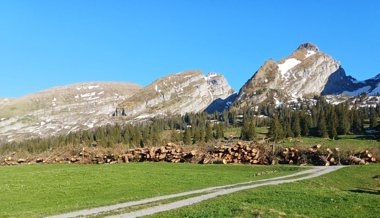 Über 400 Kubikmeter Holz unterhalb der Churfirsten gefällt