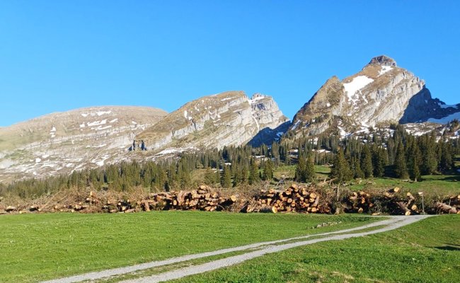 Über 400 Kubikmeter Holz unterhalb der Churfirsten gefällt