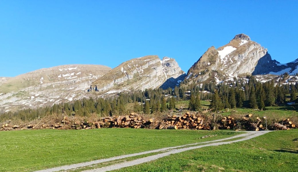 Über 400 Kubikmeter Holz unterhalb der Churfirsten gefällt
