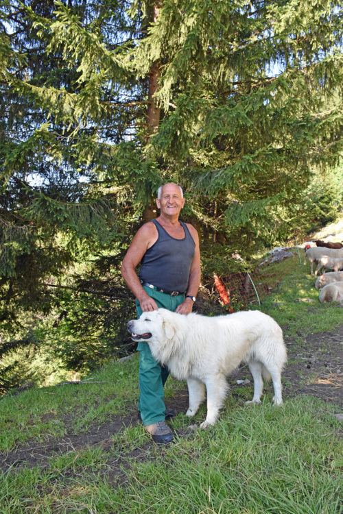  Herdenschutzhund Bexter lässt sich von seinem Besitzer Urs Heeb gerne kraulen. 