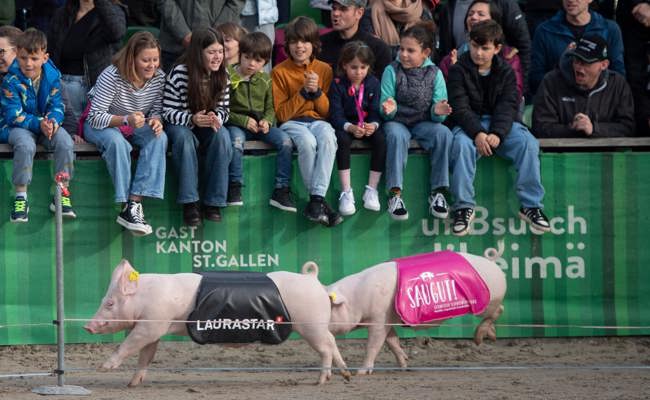 Bundesgerichtsurteil: Ist das Säulirennen in Gefahr?