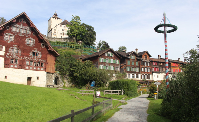 Verschollener Seveler Freiheitsbaum wiederentdeckt