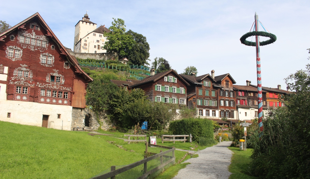 Verschollener Seveler Freiheitsbaum wiederentdeckt