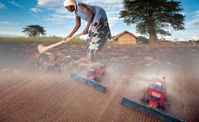 Fastenaktion: Eigenes Saatgut sichert Zukunft