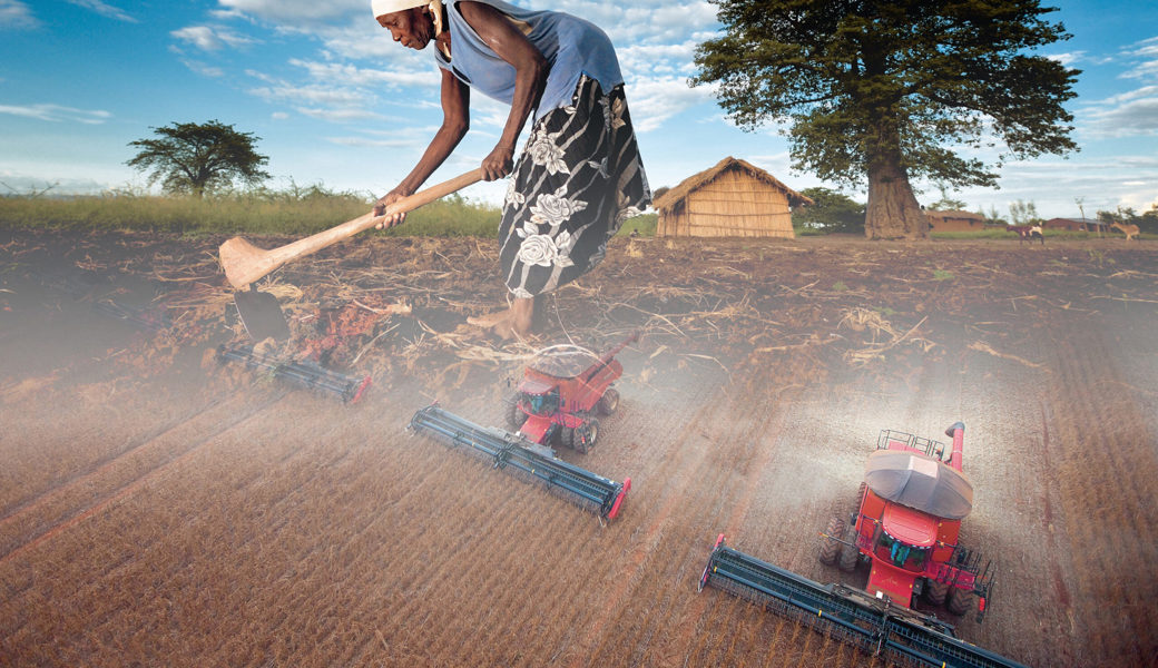 Kleinbäuerinnen und -bauern haben einen schweren Stand gegen die industrielle Landwirtschaft.
