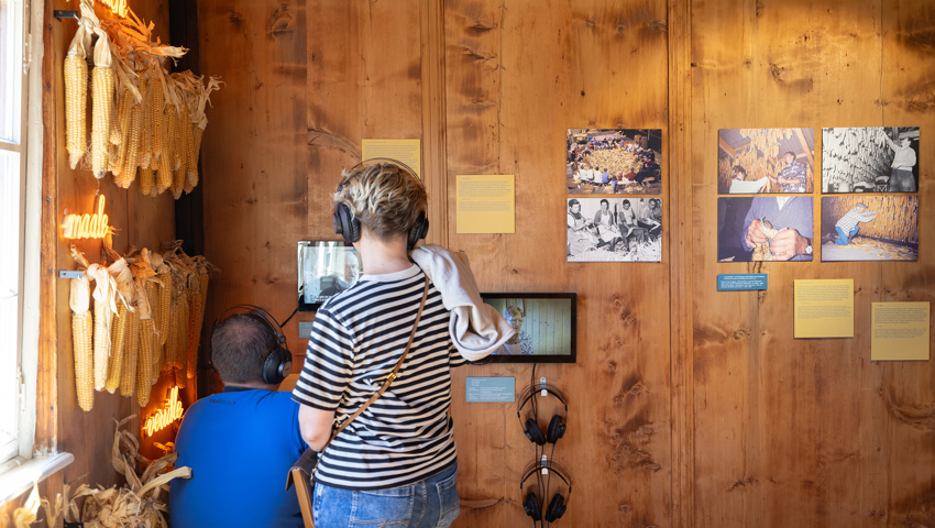 Mai: Im Ribelmaiszimmer im Schlangenhaus. Mai: Im Ribelmaiszimmer im Schlangenhaus.