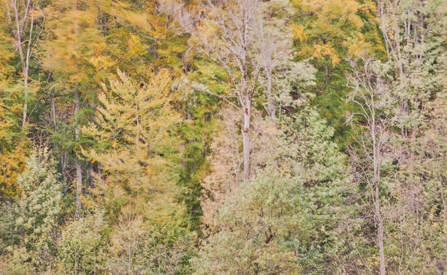 Ars Silentium: «Sonnenuntergänge gibt es im Internet zuhauf, das sättigt»