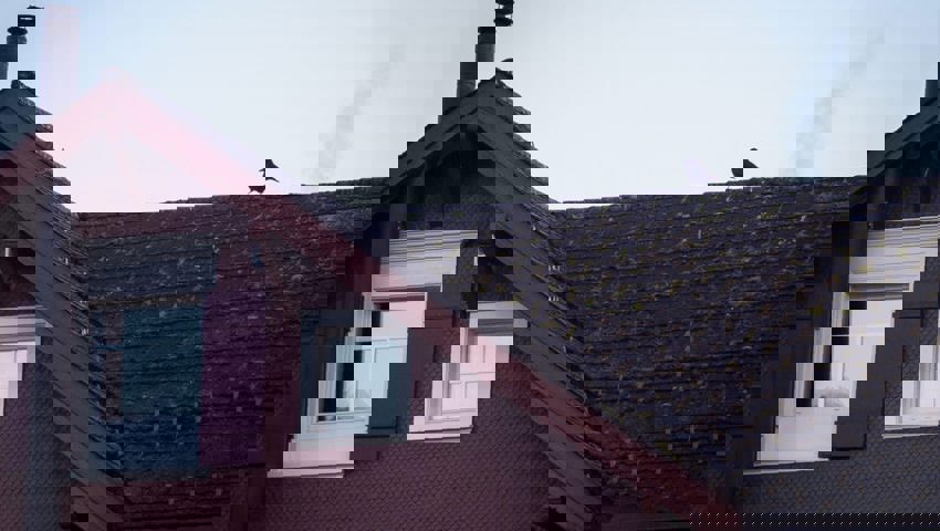  Eine Krähe auf einem Dach in Dicken, Gemeinde Nesslau-Neu St.Johann. 